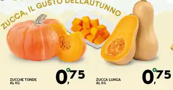 Extra Supermercati Zucche tonde offerta