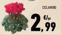 Conad Superstore Ciclamino offerta