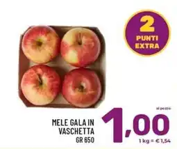 Il Centesimo Mele Gala in vaschetta offerta