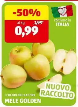 ALDI Mele Golden offerta