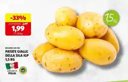 ALDI PATATE GIALLE DELLA SILA IGP offerta