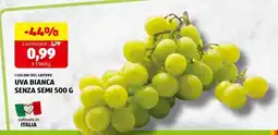 ALDI UVA BIANCA SENZA SEMI 500 G offerta
