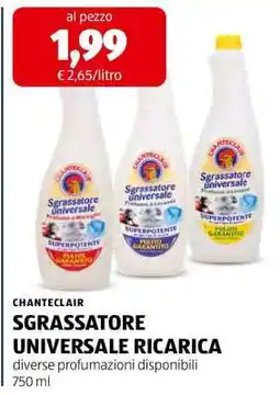 ALDI CHANTECLAIR SGRASSATORE UNIVERSALE RICARICA offerta