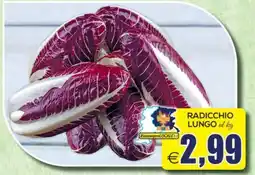 SuperOne Radicchio Lungo offerta