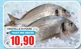 Oratelle di mare