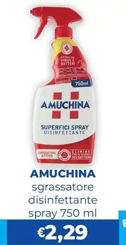 Acqua & Sapone AMUCHINA offerta