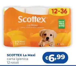 Acqua & Sapone SCOTTEX La Maxi offerta
