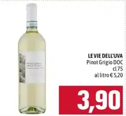 Emisfero Le Vie dell'Uva Pinot Grigio DOC offerta
