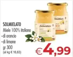 MerSi Supermercati Solmiedato Miele 100% italiano offerta