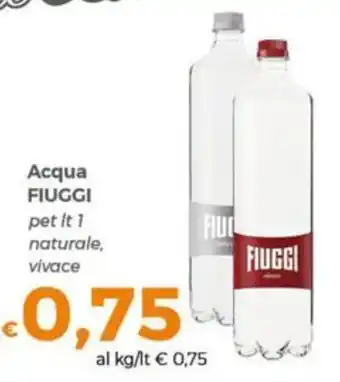Acqua FIUGGI