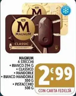 Deco Supermercati Magnum classic offerta