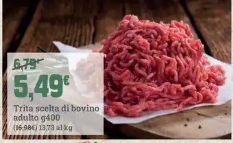 Trita scelta di bovino adulto