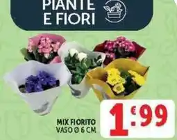 Deco Supermercati Mix Fiorito offerta