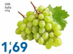 Sidis Uva Italia offerta