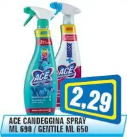 Punto Vigas ACE Candeggina Spray offerta