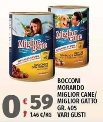Vivo Supermercati Bocconi Morando Miglior Cane/Miglior Gatto offerta