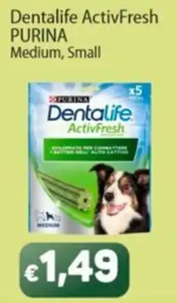Sidis Dentalife ActivFresh offerta