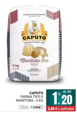 Centro Cash Caputo farina tipo 0 manitoba offerta