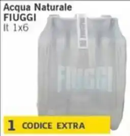 Sidis Acqua Naturale FIUGGI offerta