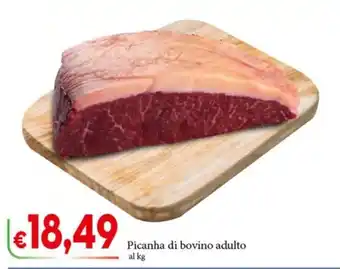 Picancha di bovino adulto