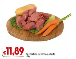D'Italy Spezzatino di bovino adulto offerta