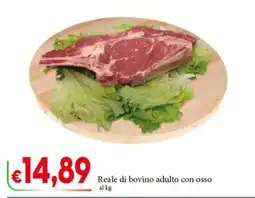 D'Italy Reale di bovino adulto con osso offerta