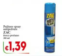 D'Italy Pulitore spray antipolvere ZAC offerta