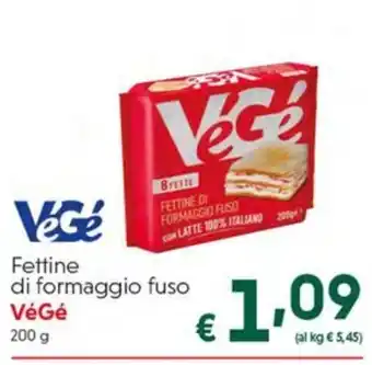 Fettine di formaggio fuso VéGé