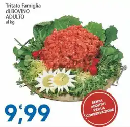 Sidis Tritato Famiglia di Bovino Adulto offerta