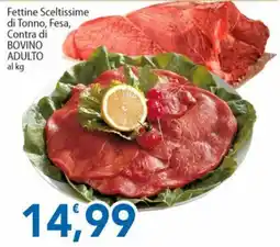 Sidis Fettine Sceltissime di Tonno, Fesa, Contra di BOVINO ADULTO offerta