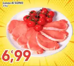 Sidis Lonza di SUINO offerta