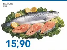 Sidis Salmone offerta