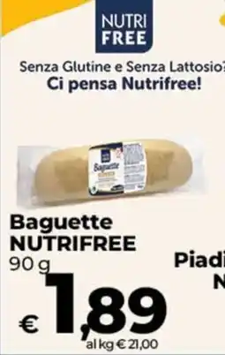 Ipercoop Radenza Baguette Nutrifree offerta