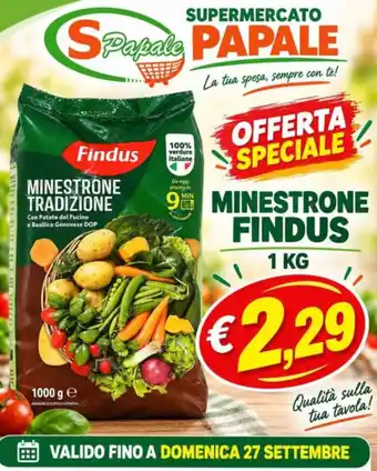 Minestrone Findus