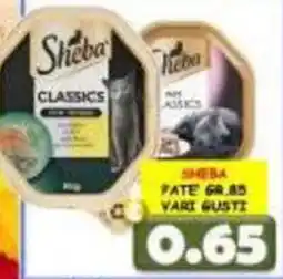 MercADone Sheba Classics offerta