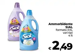 Ipercoop Radenza Ammorbidente SIAL offerta