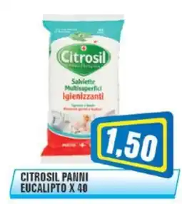 Punto Vigas Citrosil panni eucalipto offerta