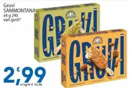 Sidis Gruvi Sammontana offerta