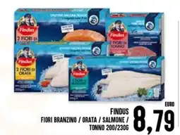 Al Discount Findus Fiori Branzino / Orata / Salmone / Tonno offerta