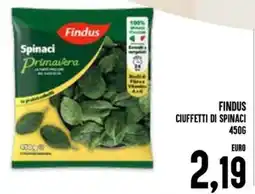 Al Discount Findus Ciuffetti di Spinaci offerta