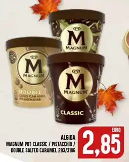 Al Discount Magnum pot classic / pistacchio / double salted caramel offerta