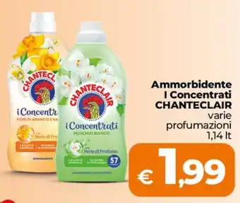 Ammorbidente i Concentrati Chanteclair