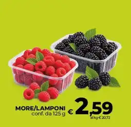 Ipercoop Radenza More/Lamponi offerta