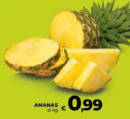 Ipercoop Radenza Ananas offerta