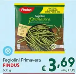 DiMeglio Fagiolini Primavera Findus offerta