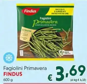 DiMeglio Fagiolini Primavera Findus offerta