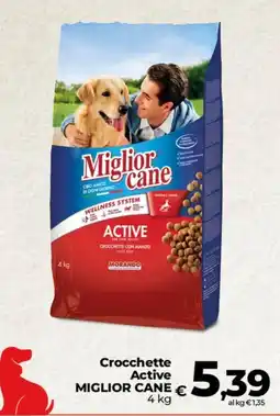 Ipercoop Radenza Crocchette Active Miglior Cane offerta