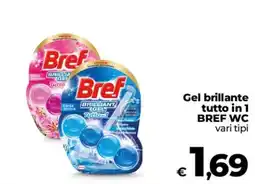 Ipercoop Radenza Gel brillante Bref WC offerta