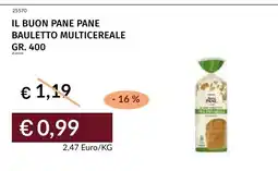 Prezzemolo e Vitale Il buon pane pane bauletto multicereale offerta
