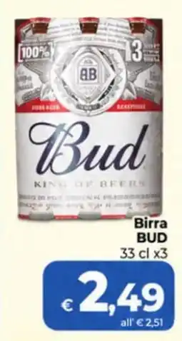 Ipercoop Radenza Birra BUD offerta